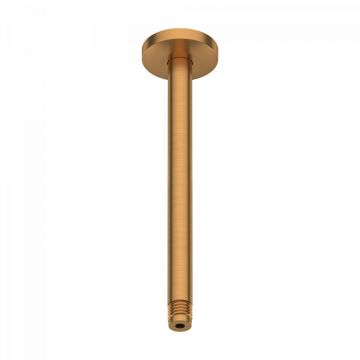 Brat de dus Duravit Shower Round 20cm cu montaj in tavan bronz periat