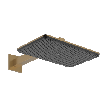 Palarie de dus Hansgrohe Raindance Alive Select Q 210x340 2jet EcoSmart cu brat de dus de perete 39cm  bronz periat
