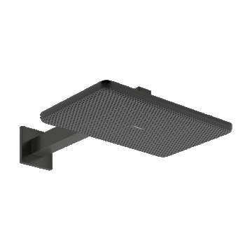 Palarie de dus Hansgrohe Raindance Alive Select Q 210x340 2jet EcoSmart cu brat de dus de perete 39cm  negru periat